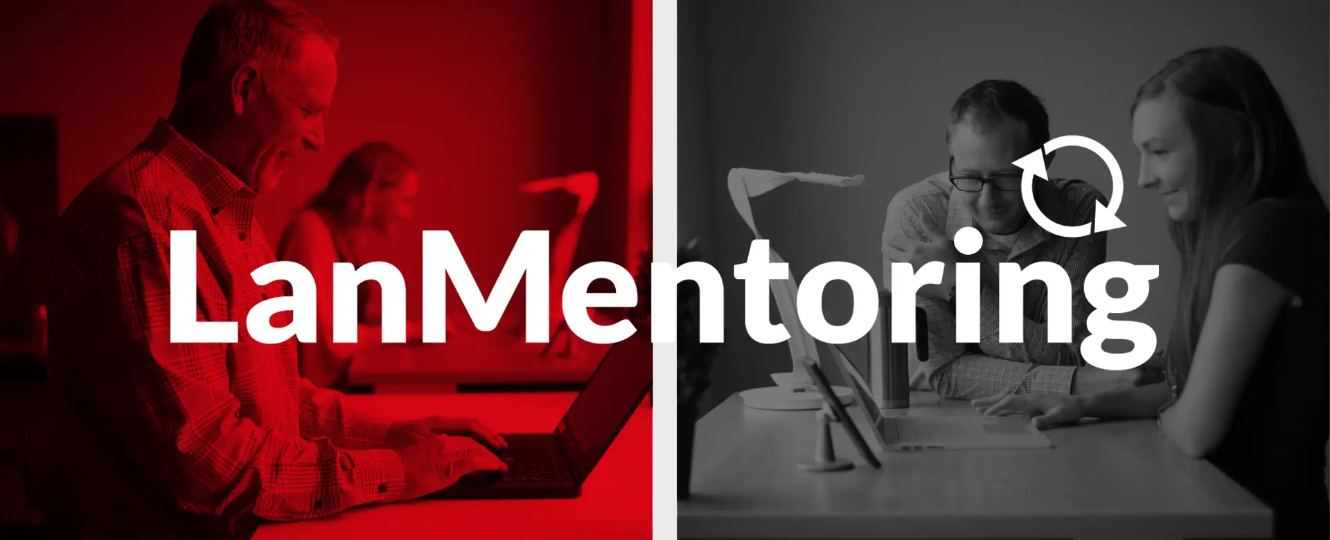 Lan Mentoring esperientzia Lanbide-rentzat
